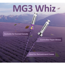 MG3 Whiz Rotary Files