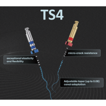 TS4